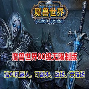 魔兽世界335单机版80级机器可战场，竞技场，副本，局域网插图